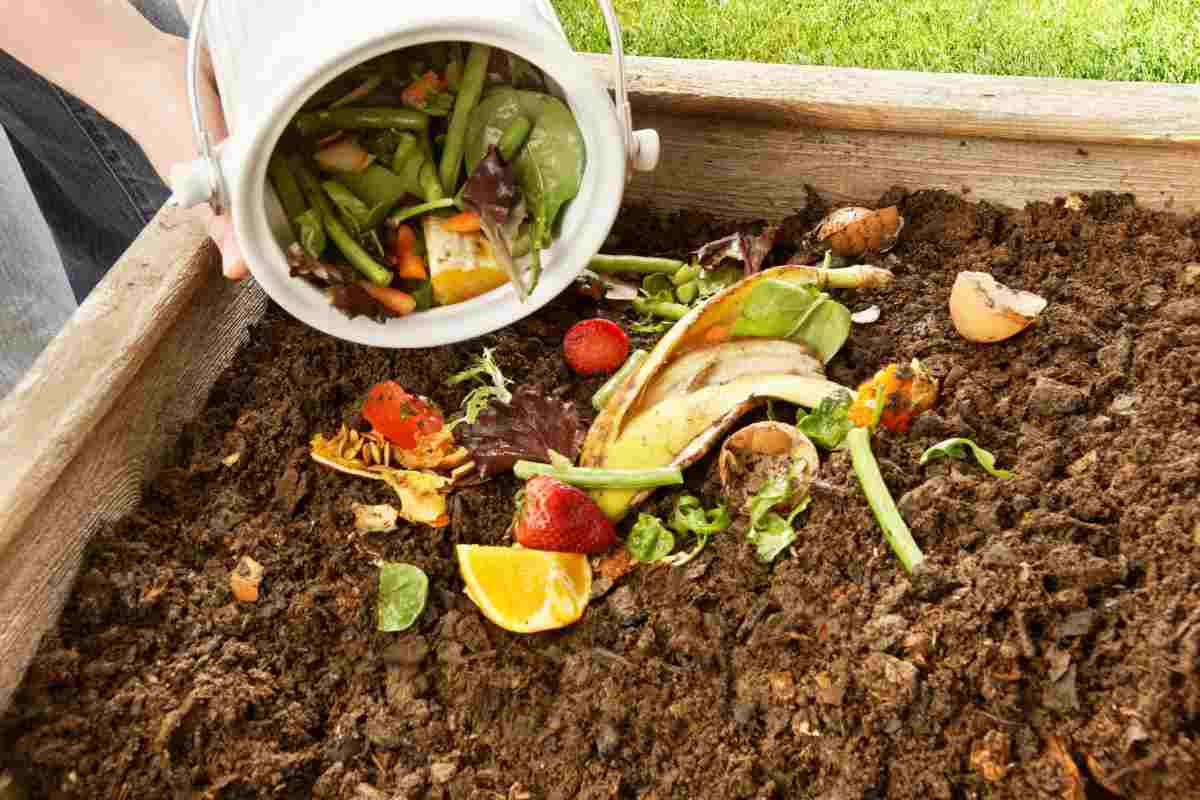 Compost migliore a costo zero lo fai a casa e risparmi un botto