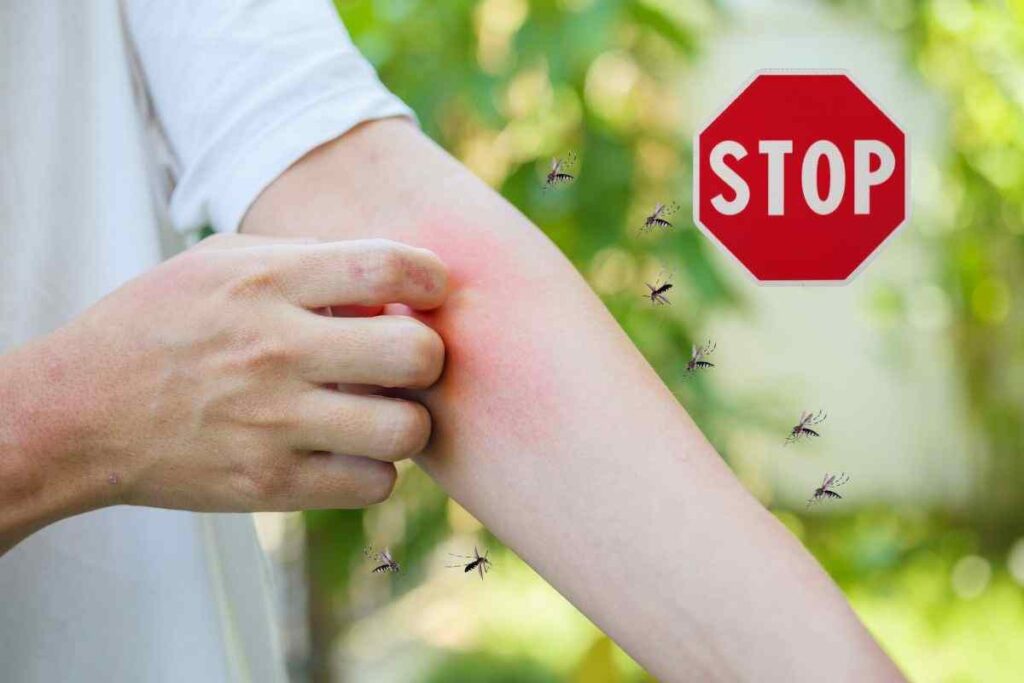 allarme west nile: i rimedi naturali per allontanare le zanzare