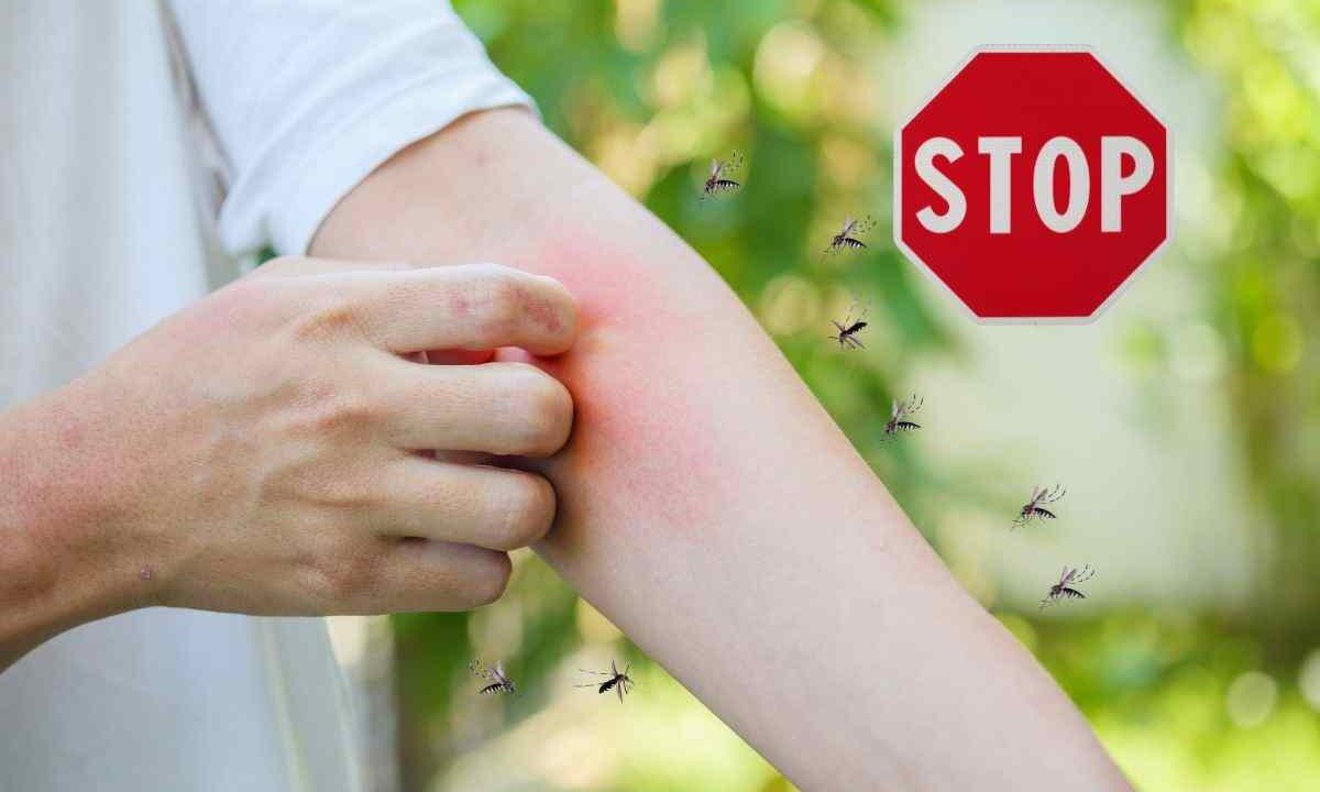 allarme west nile: i rimedi naturali per allontanare le zanzare
