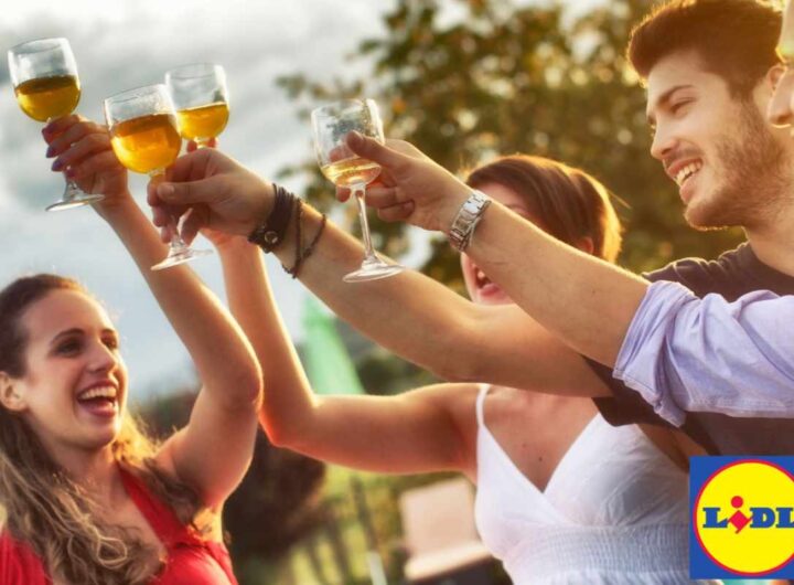 aperitivo lidl