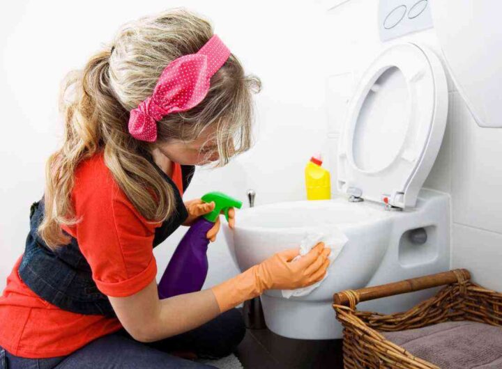 WC, il trucco geniale della carta igienica per pulirlo senza sforzo, tutti i dettagli