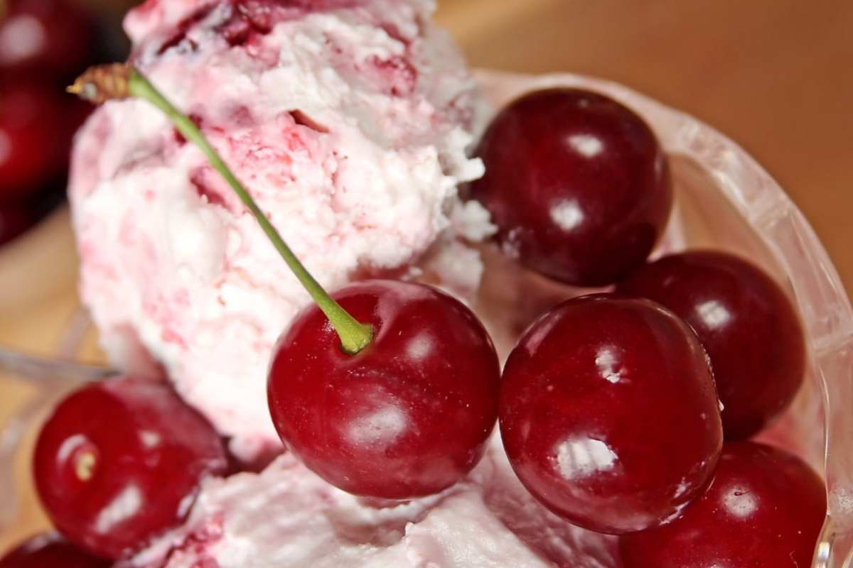 gelato amarena