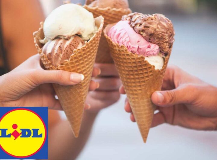 gelato lidl