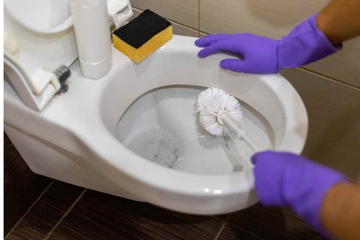 WC, il trucco geniale della carta igienica per pulirlo senza sforzo