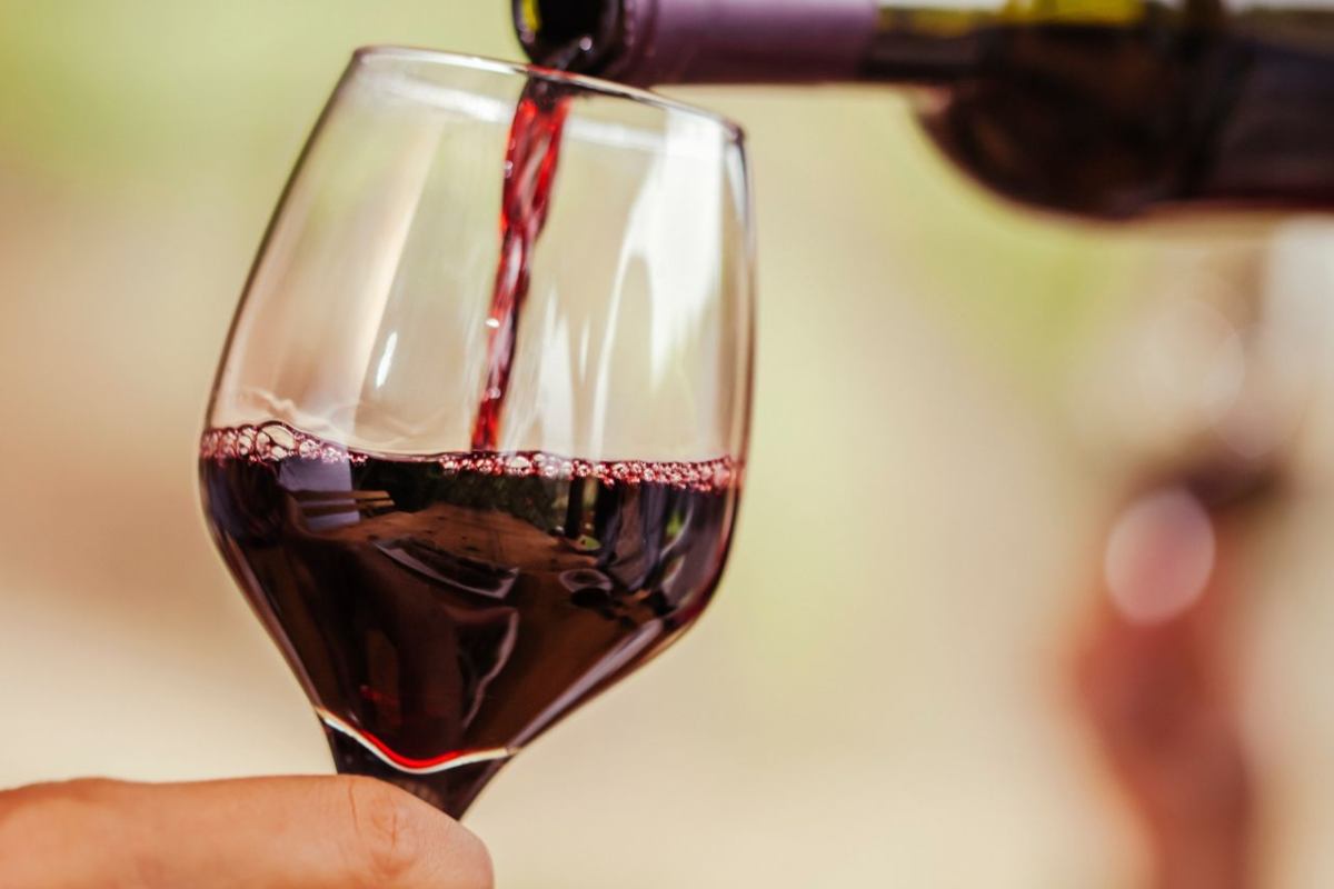 vino